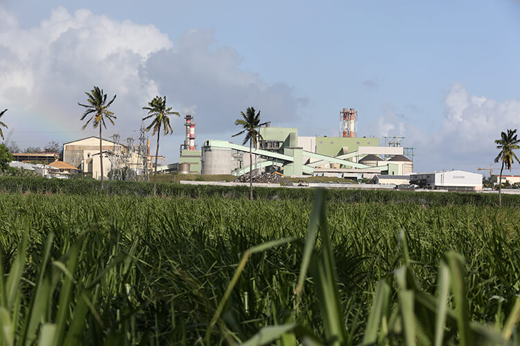 Centrale thermique albioma biomasse cannes à sucre le gol la réunion