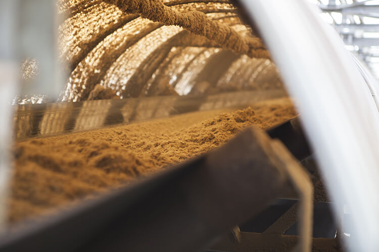 Convoyeur bagasse, biomasse albioma centrale thermique