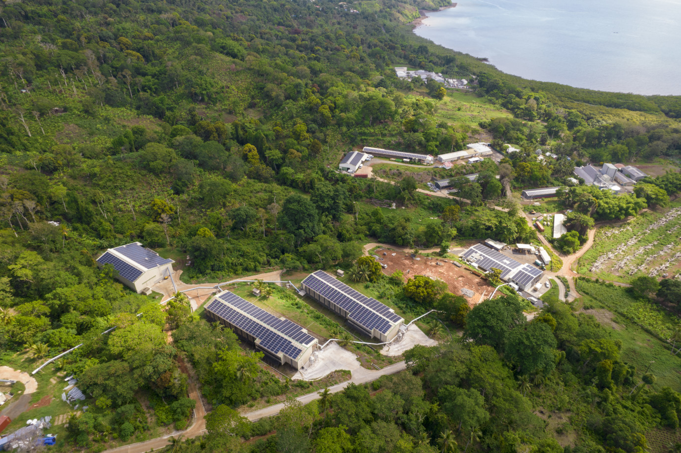« Travailler pour Albioma me permet de participer activement à la transition énergétique de mon île »